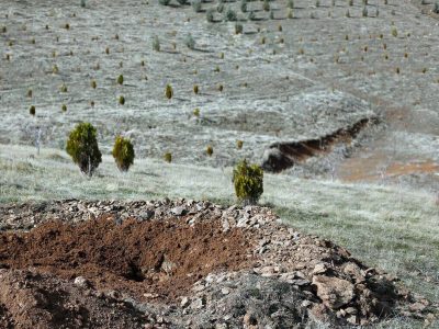 عملیات بذرکاری امسال در یک هزار هکتار از اراضی استان اصفهان انجام شد