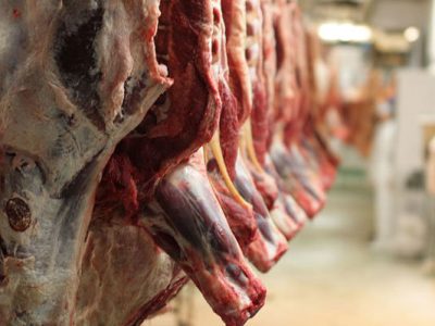 کلیپ| اصفهان در تولید شیر، تخممرغ و گوشت بوقلمون جایگاه اول را دارد