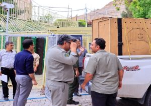 انتقال سه توله خرس سیاه بلوچی به مرکز بازپروری پردیسان تهران