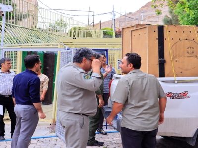 انتقال سه توله خرس سیاه بلوچی به مرکز بازپروری پردیسان تهران