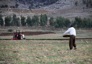 ۳۰ درصد اراضی کشاورزی شرق اصفهان زیرکشت محصول رفته است