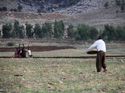 ۳۰ درصد اراضی کشاورزی شرق اصفهان زیرکشت محصول رفته است