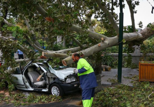 تندباد ۹۰ کیلومتری در اصفهان ۴۳ اصله درخت را شکست