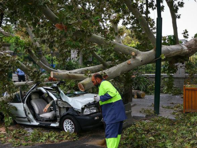 تندباد ۹۰ کیلومتری در اصفهان ۴۳ اصله درخت را شکست