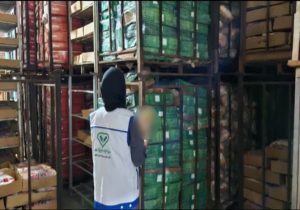 کشف و توقیف بیش از ۹ تن مرغ گوشتی منجمد