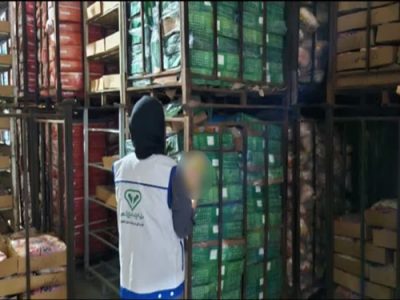 کشف و توقیف بیش از ۹ تن مرغ گوشتی منجمد