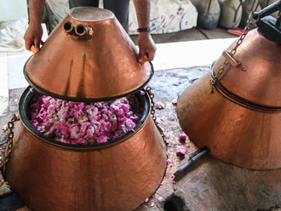 آیین گلابگیری کاشان جهانی شد