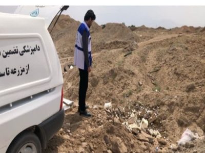 معدوم سازی بالغ بر ۱۸۰ کیلوگرم تخم مرغ با شرایط ارگانولپتیک نامناسب در شهرستان آران و بیدگل