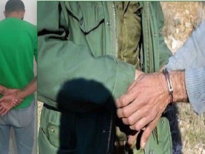 دستگیری متخلف سابقه دار شکار حیات وحش در پارک ملی قمیشلو اصفهان