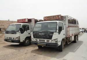 توقیف خودروی حمل دام زنده فاقد مجوز حمل بهداشتی در شهرستان لنجان