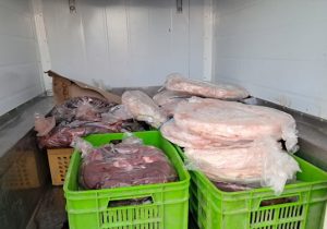 کشف و معدوم سازی ۱۷۵ کیلوگرم فرآورده خام دامی غیر قابل مصرف در شهرستان نطنز