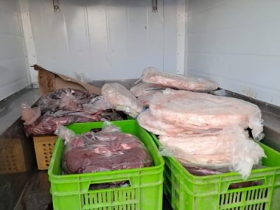 کشف و معدوم سازی ۱۷۵ کیلوگرم فرآورده خام دامی غیر قابل مصرف در شهرستان نطنز