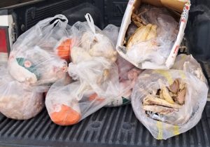 کشف و معدوم سازی ۸۶ کیلوگرم فرآورده خام دامی غیر بهداشتی در شهرستان نطنز