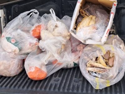 کشف و معدوم سازی ۸۶ کیلوگرم فرآورده خام دامی غیر بهداشتی در شهرستان نطنز