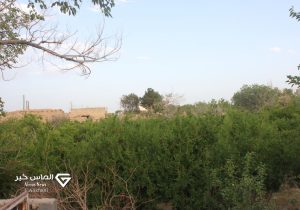 تصاویر| طبیعت کوهپایه در آخرین روزهای فصل بهار