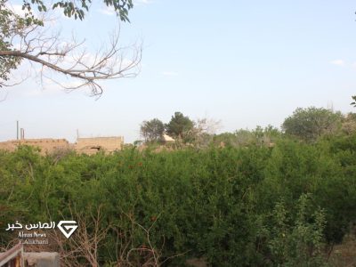 تصاویر|طبیعت کوهپایه در آخرین روزهای فصل بهار