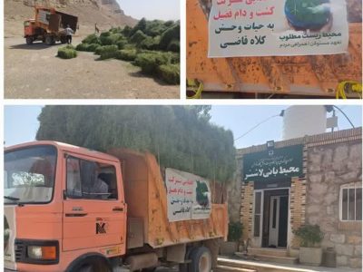 نذر علوفه برای حیات وحش پارک ملی کلاه قاضی