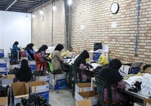 سلسله رویدادهای فرصت شغلی برای مددجویان کمیته امداد استان اصفهان از شهریورماه آغاز می‌شود