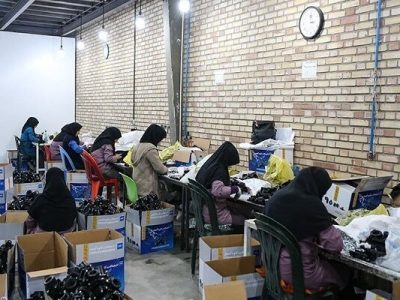 سلسله رویدادهای فرصت شغلی برای مددجویان کمیته امداد استان اصفهان از شهریورماه آغاز می‌شود