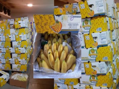 کشف ۴۰۰ تن میوه احتکار شده از یک سردخانه