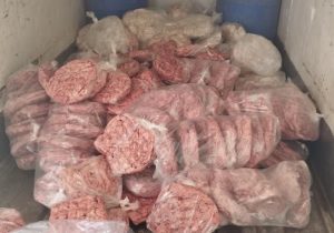 کشف و معدوم سازی ۶۵۰ کیلوگرم آلایش دامی غیر قابل مصرف در شهرستان خمینی شهر   