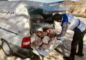 توقیف و معدوم سازی یک هزار و ۲۰۰ کیلوگرم فرآورده های خام دامی غیرقابل مصرف در شهرستان نجف آباد