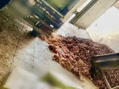 کشف و معدوم سازی بیش از ۴۰۰ کیلوگرم قطعات مرغ غیر قابل مصرف در شهرستان نجف آباد