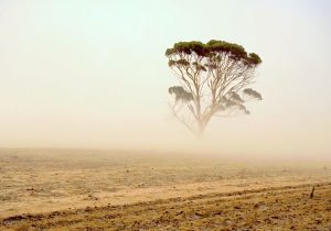 ۱.۵ میلیون هکتار از اراضی اصفهان تحت فرسایش بادی است