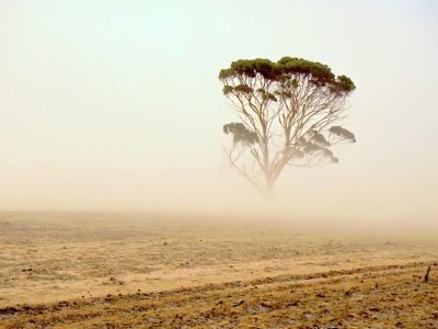 ۱.۵ میلیون هکتار از اراضی اصفهان تحت فرسایش بادی است