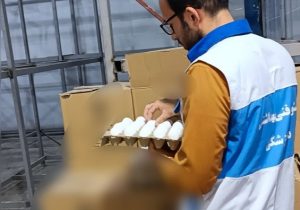 کشف و معدوم سازی بیش از ۳ تن تخم‌مرغ فاسد در نجف‌آباد