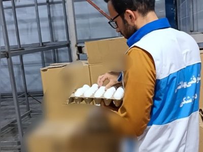 کشف و معدوم سازی بیش از ۳ تن تخم‌مرغ فاسد در نجف‌آباد
