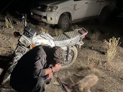 شناسایی و دستگیری دو متخلف شکار آهو در پارک ملی موته