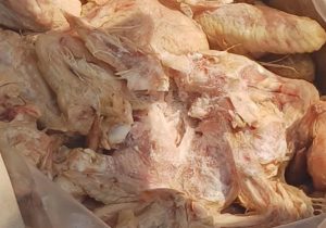 خروج محموله ده هزار کیلوگرمی کتف و بال مرغ منجمد از چرخه مصرف انسانی در شهرستان کاشان