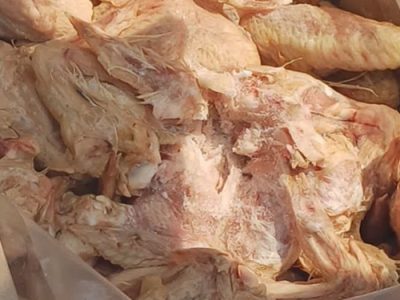 خروج محموله ده هزار کیلوگرمی کتف و بال مرغ منجمد از چرخه مصرف انسانی در شهرستان کاشان