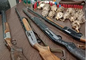 دستگیری متخلفین شکار پرندگان وحشی در شهرستان نطنز