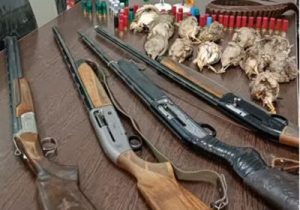 دستگیری متخلفین شکار پرندگان وحشی در برخوار