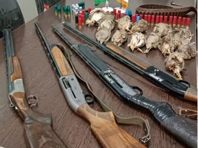 دستگیری متخلفین شکار پرندگان وحشی در شهرستان نطنز