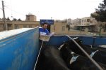 نظارت بر تامین و انتقال بالغ بر ۲ هزار و ۹۰۰ راس دام زنده به کشتارگاه های کشور در شهرستان لنجان