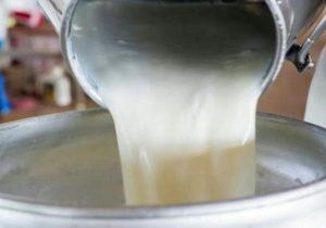 خروج ۴ تن شیر غیربهداشتی از چرخه مصرف انسانی در شهرستان خمینی شهر