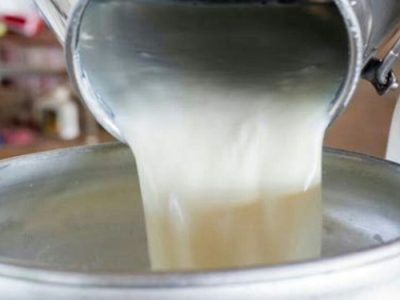 خروج ۴ تن شیر غیربهداشتی از چرخه مصرف انسانی در شهرستان خمینی شهر