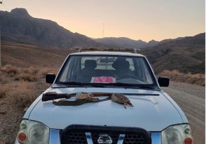 دستگیری متخلف شکار و صید غیرمجاز کبک وحشی در شهرستان اردستان