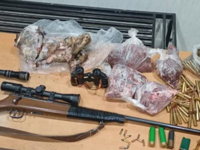 کشف اسلحه و لاشه حیوان وحشی از منزل متخلف شکار و صید در کاشان