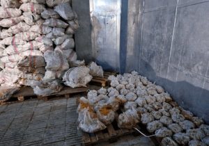 کشف ۱۰ تن کله پاچه فاسد از یک انبار غیر مجاز در اصفهان