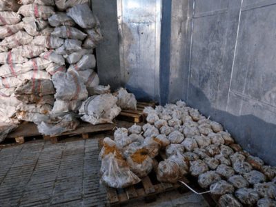 کشف ۱۰ تن کله پاچه فاسد از یک انبار غیر مجاز در اصفهان