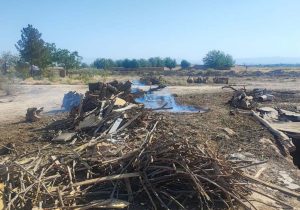 پلمب کوره های تولید غیرمجاز زغال چوب در نطنز اصفهان با حمایت قاطع دستگاه قضایی