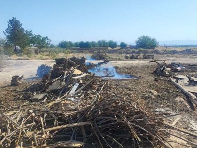 پلمب کوره های تولید غیرمجاز زغال چوب در نطنز اصفهان با حمایت قاطع دستگاه قضایی