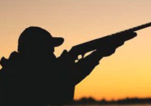 یگان حفاظت محیط زیست اردستان شکارچی غیرمجاز کل وحشی را در ارتفاعات کهیاز دستگیر کرد