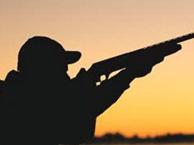 یگان حفاظت محیط زیست اردستان شکارچی غیرمجاز کل وحشی را در ارتفاعات کهیاز دستگیر کرد