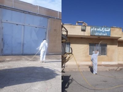 واکسیناسیون بیش از ۱۲ هزار راس دام سبک و سنگین علیه تب برفکی در شهرستان نایین