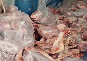 کشف و معدوم سازی گوشت شتر تاریخ مصرف گذشته در شهرستان خمینی شهر   